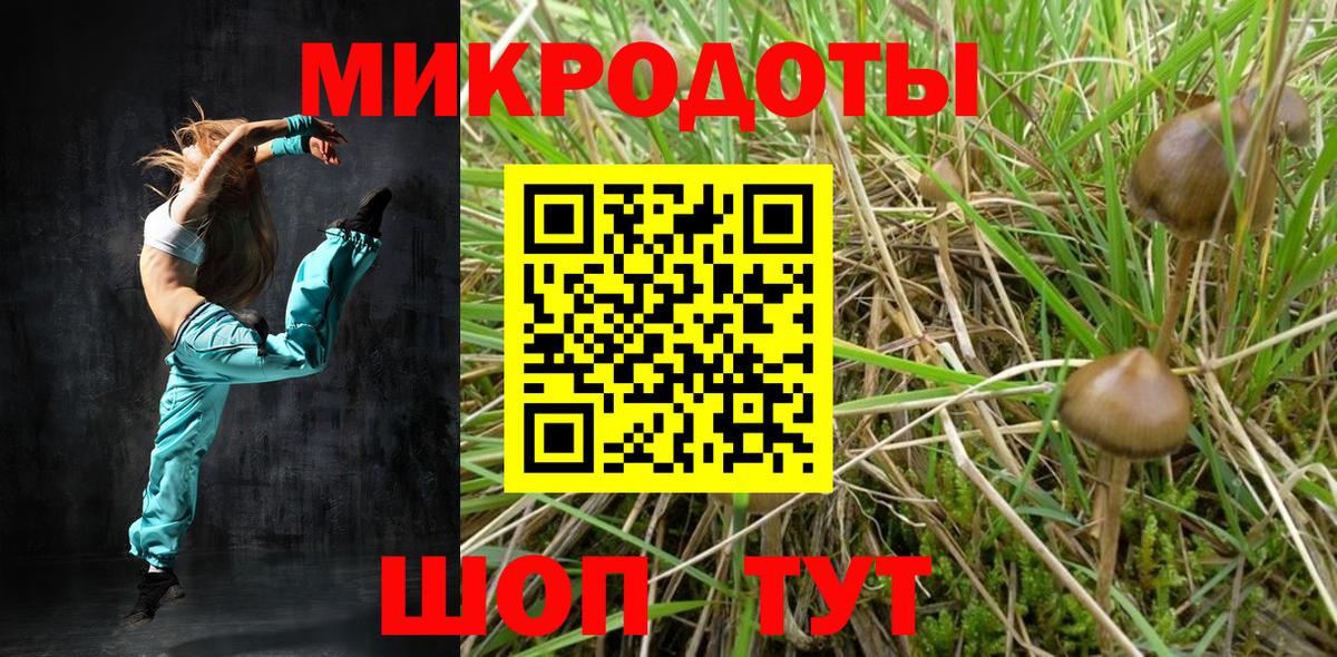 Псилоцибиновые грибы Magic Shrooms Горно-Алтайск